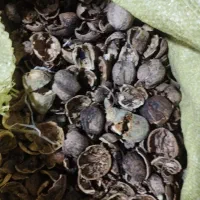 خرید وفروش  پوست استخوانی گردو