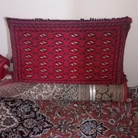 پشتی سالم