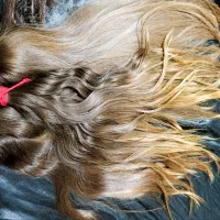 خریدو فروش موهای طبیعی در استان