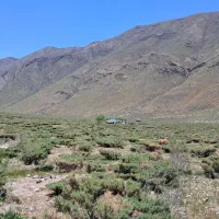 راهنمایی سویت اجاره