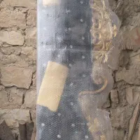 تاج یا سر در ب