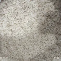 برنج فجر سوزنی ۹۰ روزه کاشت خودم|خوردنی و آشامیدنی|آق قلا, |دیوار