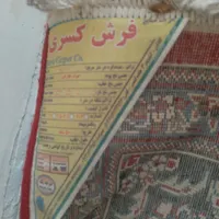 فرش 9 متری لاکی، 12 متری کرم|فرش|کرمانشاه, |دیوار