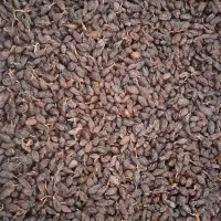 فخری پاک شده|خوردنی و آشامیدنی|میاندوآب, |دیوار