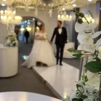 تشریفات ماهان پذیرای مراسمات وجشن های شماست