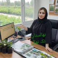 نهالستان تک نهال