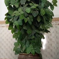 درختچه مصنوعی