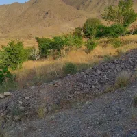 باغچه روستای جارو