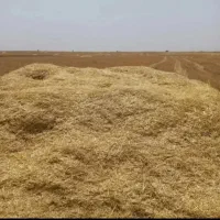 کاه فروشی