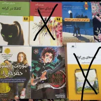 چند عدد کتاب و یک عدد مانگا