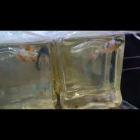 ماهی فایتر|ماهی|بندر ماهشهر, |دیوار