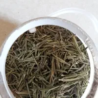 رزماری خشک شده بدون  ساقه  و تازه با ساقه  حراج|آرایشی، بهداشتی، درمانی|ابهر, |دیوار