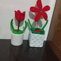 کادو روز دختر گل جاودان