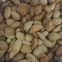 انواع برنج و چای و گردو|خوردنی و آشامیدنی|درمیان, |دیوار