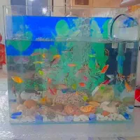 اکواریوم نو  ۵ روزه خریدم معاوضه با یکی بزرگ تر