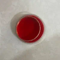 طلا سکه تمبر اسکناس|کلکسیون سکه، تمبر، اسکناس|تربت جام, شهرک آزادگان|دیوار