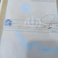 زمین مسکونی آخر کشاورز جنوبی سند تک برگ 259 متر