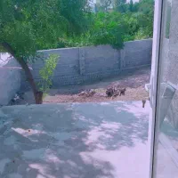 فروش خانه ویلایی استفاده نشده با کابینت و شیرآلات|فروش خانه و ویلا|ساری, |دیوار