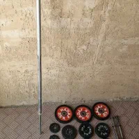 دمبل و هالتر