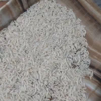 فروش برنج هاشمی درجه یک ،خداافرین