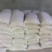 گندم دیم و آبی اصلاح نژاد لیبل دار|خدمات باغبانی و درختکاری|اراک, |دیوار