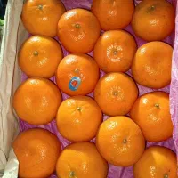 موز و نارنگی پاکستان