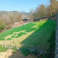 240 متر زمین داخل بافت با ویو ابدی روستای سی پی