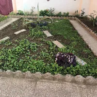 ساختمان اجاره ای نوساز جنگلی|اجارهٔ آپارتمان|نور, |دیوار