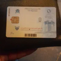 مدارک گمشده