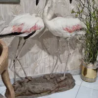 مجسمه فلامینگوی بزرگ