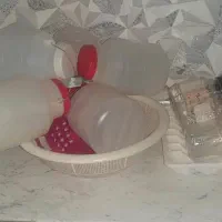 دبه