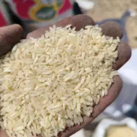 برنج چمپا وعنبر بو|خوردنی و آشامیدنی|بروجن, |دیوار