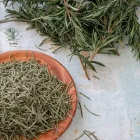 رزماری خانگی