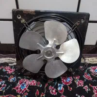 فن پروانه