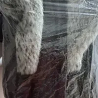 پالتو تمام چرم و خز دار