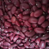 لوبیا چیتی و لوبیا قرمز درجه یک پزا