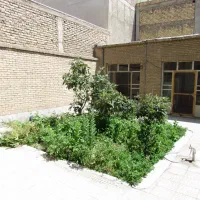 فروش-کلنگی
