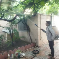 شرکت سمپاشی سامان( سوسک ساس کنه) تضمینی سم پاشی