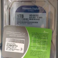 فروش هارد SSD Samsung و هارد  Western digital|قطعات و لوازم جانبی رایانه|قوچان, |دیوار