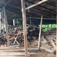 چوب رایگان|عمدهفروشی|ماسال, |دیوار