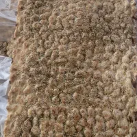 استخدام نیرو نان سنگک