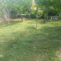 کلیه امور باغبانی هرس.علفزنی.سم پاشی کاشت نهال|خدمات باغبانی و درختکاری|هشتگرد, شهرک ولیعصر (مصلی)|دیوار