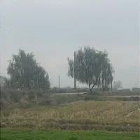 زمین کشاورزی با جاده ۶متری