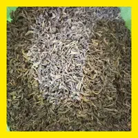 محصول لاهیجان عمده چای سبز