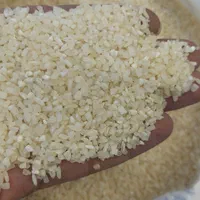 برنج کامفیروزی. زرشک|خوردنی و آشامیدنی|شیراز, شهرک گلها|دیوار