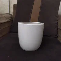 چند عدد گلدان