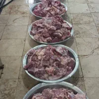 آشپزی مجالس و تالار ها و مراسمات