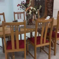 فروش مبل و ناهار خوری ۸ نفره|مبلمان خانگی و میز عسلی|رشت, کاکتوس|دیوار