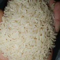 برنج طارم گرگان