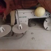 چرخ خیاطی زوجی